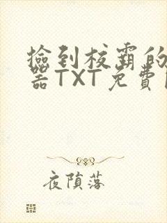 捡到校霸的遥控器TXT免费阅读