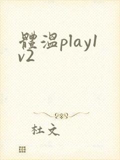 体温play1v2