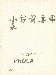 小说前妻乖乖回来