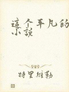 这个平凡的男子小说