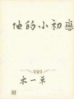 他的小初恋