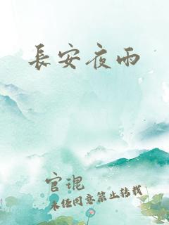 长安夜雨