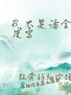 我不是潘金莲百度云