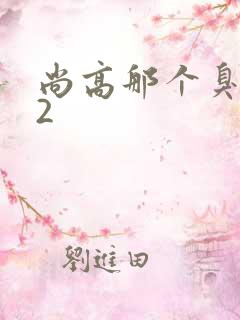 尚高那个臭小子2