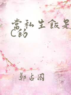 当私生饭是要挨C的