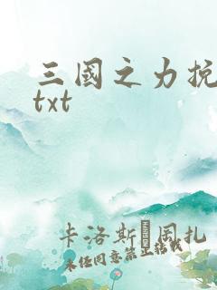 三国之力挽狂澜txt