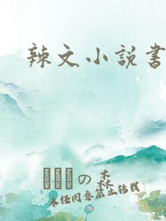 辣文小说书包网