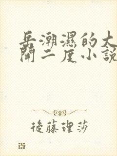 岳潮湿的大肥梅开二度小说