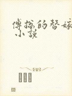 傅总的替嫁娇妻 小说