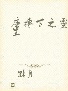 唐砖下之灵域双生