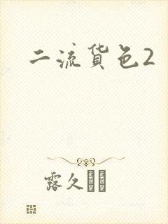二流货色2