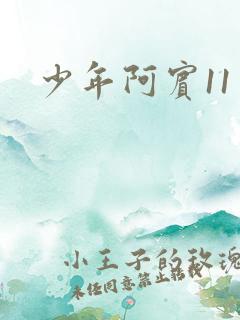 少年阿宾11