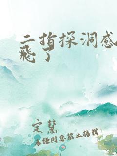 二指探洞感觉要飞了