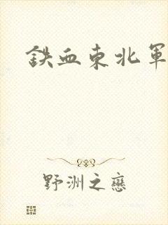 铁血东北军