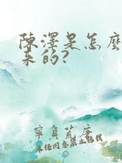 陈泽是怎么火起来的?