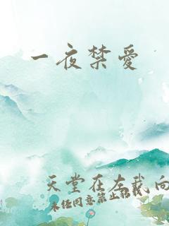一夜禁爱