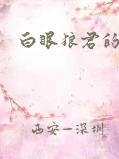 白眼狼君的小说