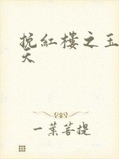 挽红楼之玉舞九天