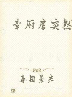 章厨房突然挺入