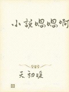 小说嗯嗯啊啊