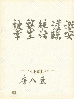 被系统灌溉的日常生活临安