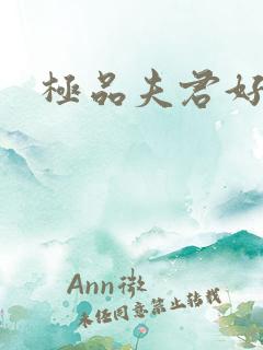 极品夫君好又多