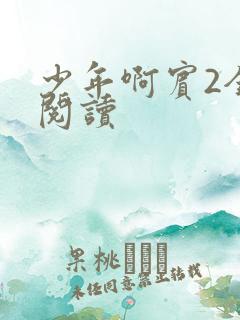 少年啊宾2全文阅读