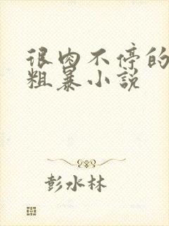 很肉不停的做很粗暴小说