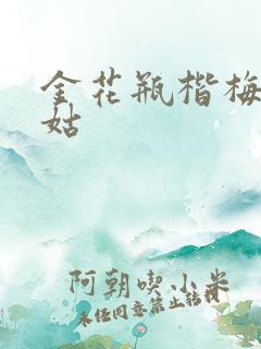 金花瓶楷梅花尼姑