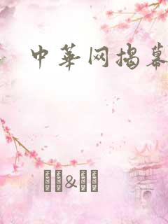 中华网揭幕内参