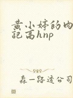 黄小婷的肉欲日记高hnp