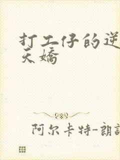 打工仔的逆袭楚天娇