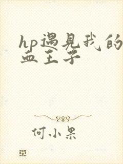 hp遇见我的混血王子