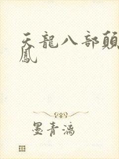 天龙八部颠龙鸾凤