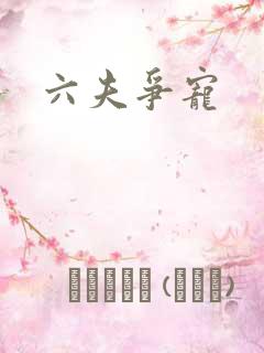 六夫争宠