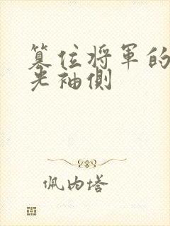 篡位将军的白月光袖侧