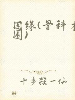 因缘(骨科 校园)