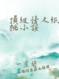 顶级情人纸皮核桃小说