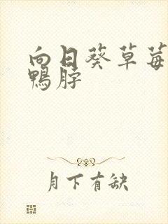 向日葵草莓丝瓜鸭脖