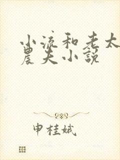 小流和老太69农夫小说