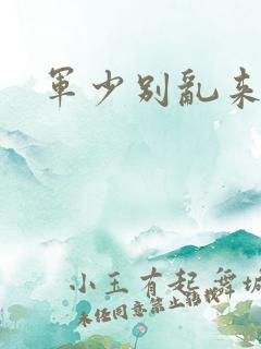 军少别乱来
