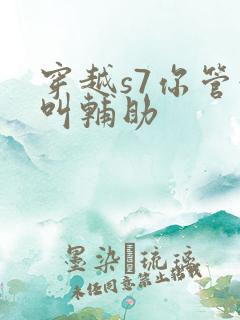 穿越s7你管这叫辅助