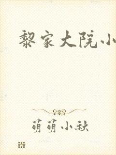 黎家大院小说