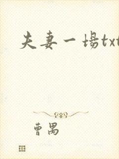 夫妻一场txt