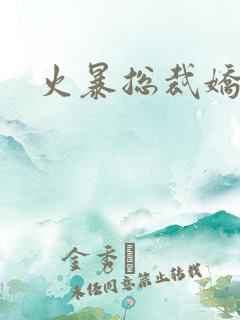 火暴总裁娇柔妻