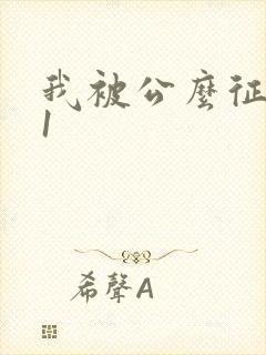 我被公么征服了1