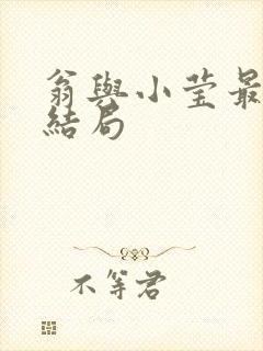 翁与小莹最新大结局