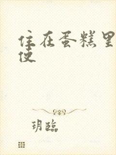 住在蛋糕里的天使