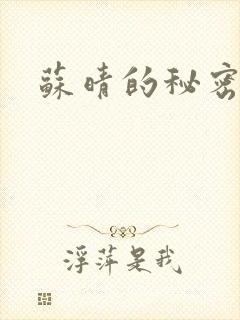 苏晴的秘密小说