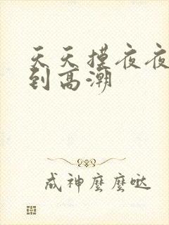 天天摸夜夜摸摸到高潮